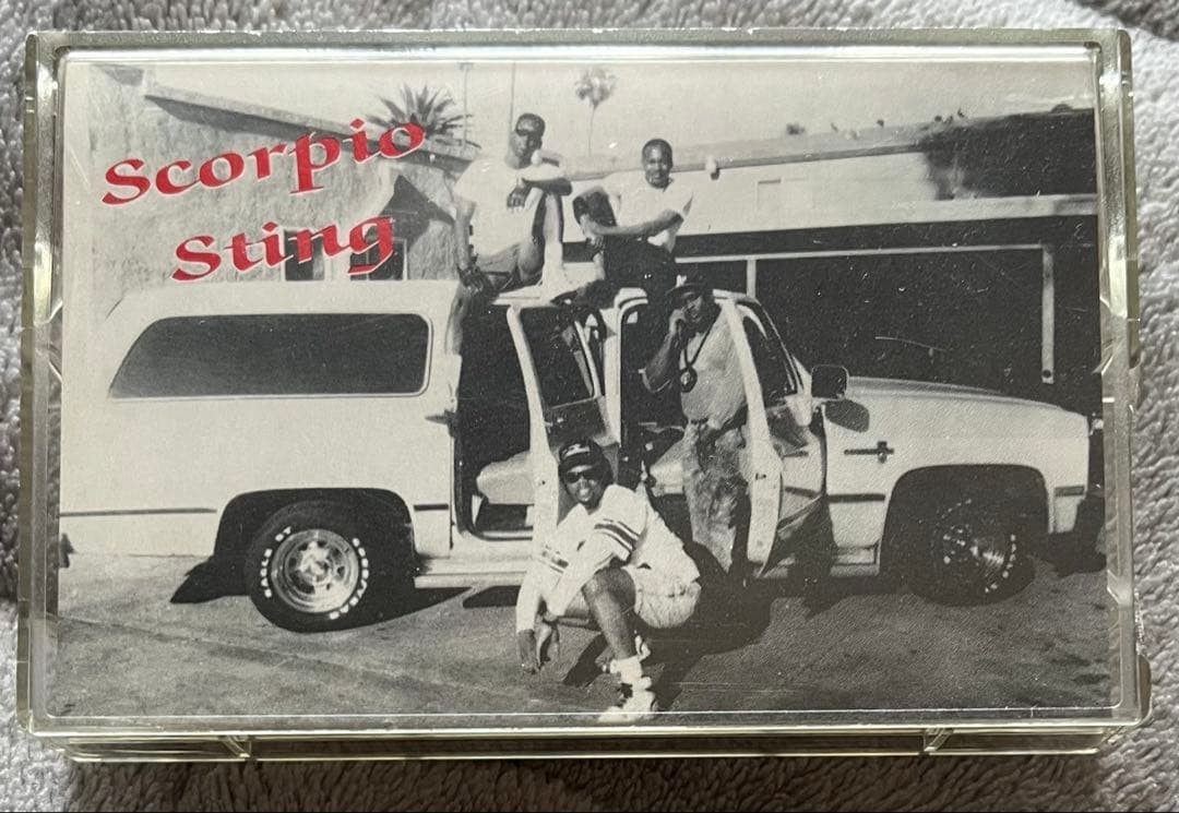 Scorpio Sting / I\'m A Survivor