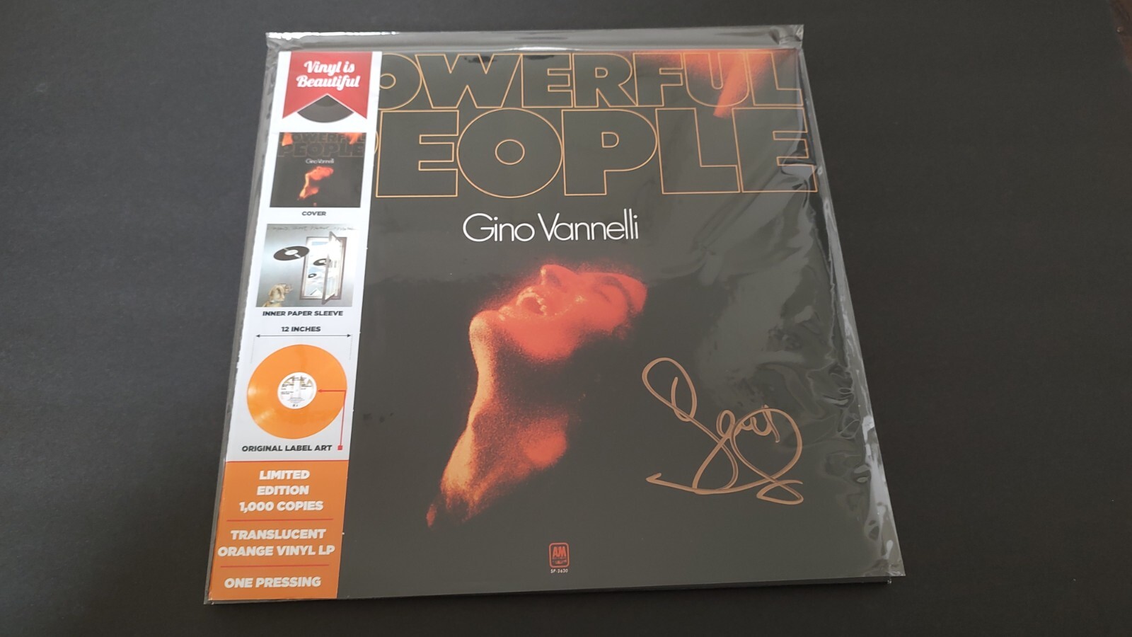 Gino Vannelli – Powerful People - 12