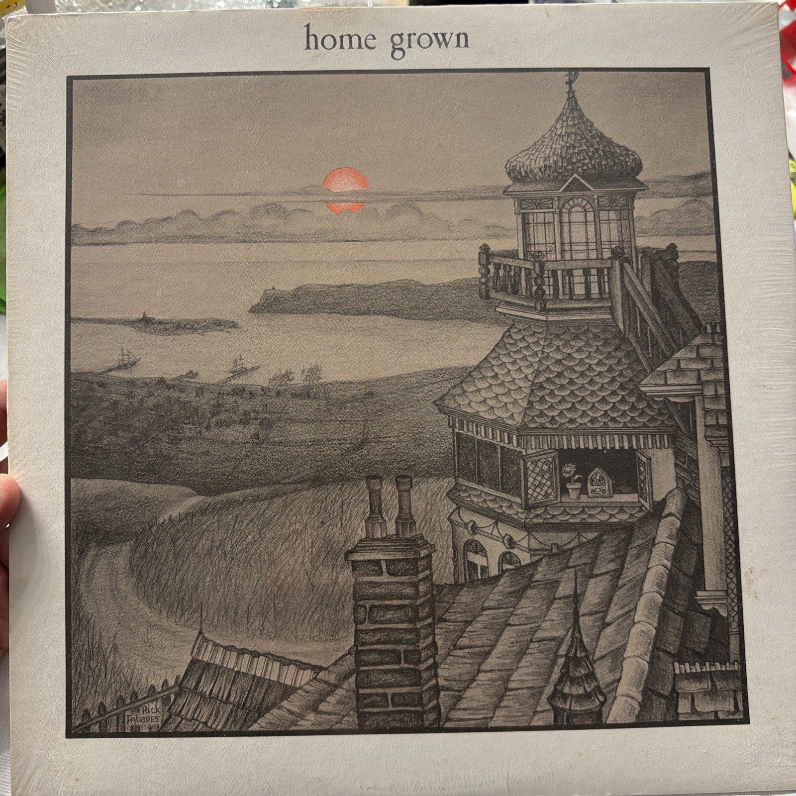 Home Grown• The Home Grown Album• KGB Records 1973 Orig Press BRAND NEW SEALED