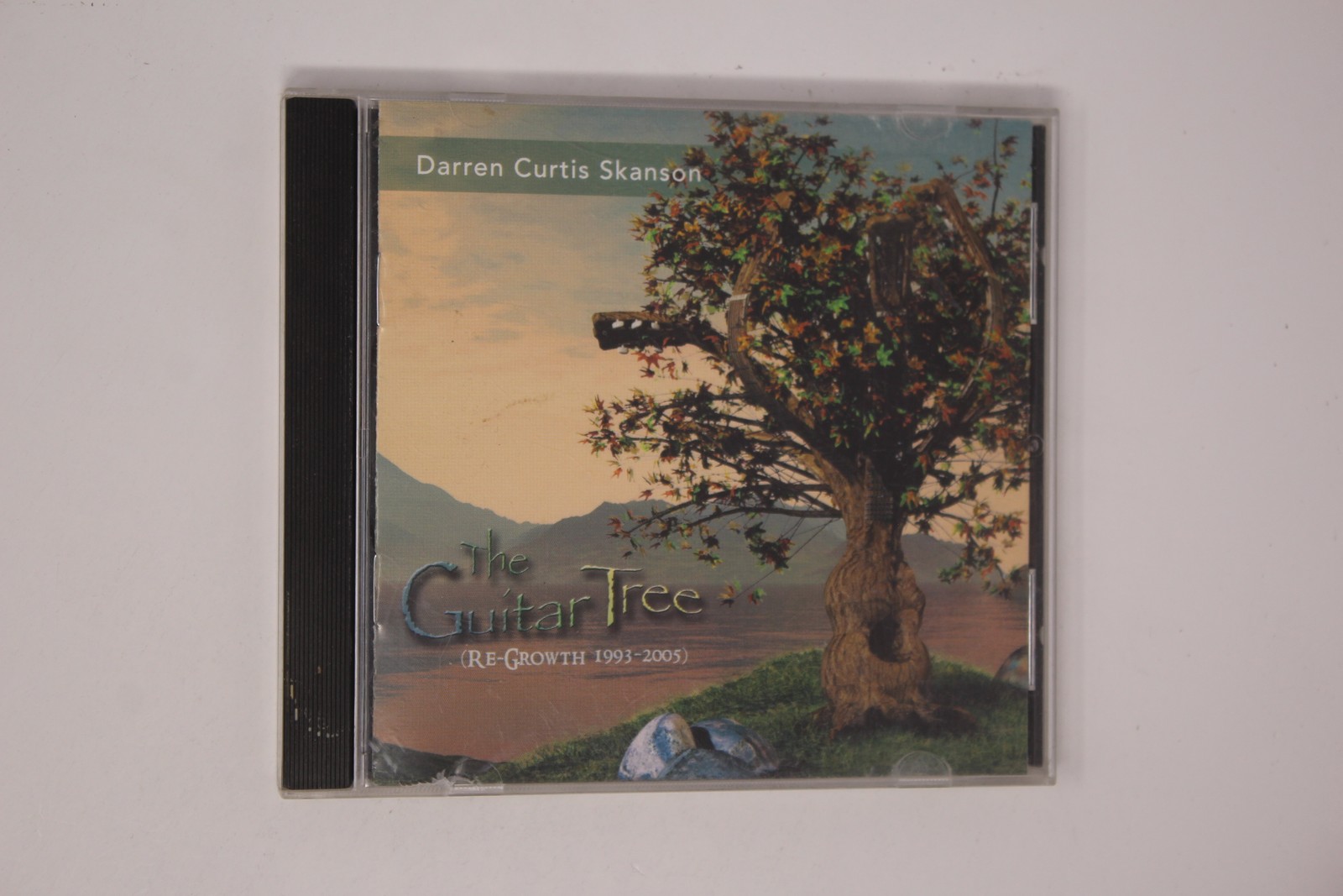Darren Curtis Skanson Guitar Tree Re-growth 1993-2005 CD