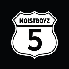 Moistboyz Moistboyz V (CD) picture