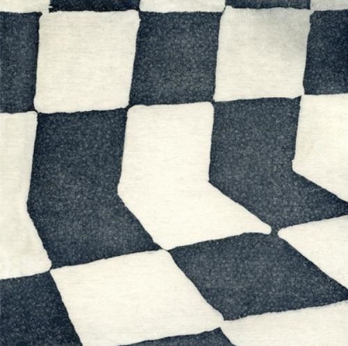 Ducktails The Flower Lane (CD) Album