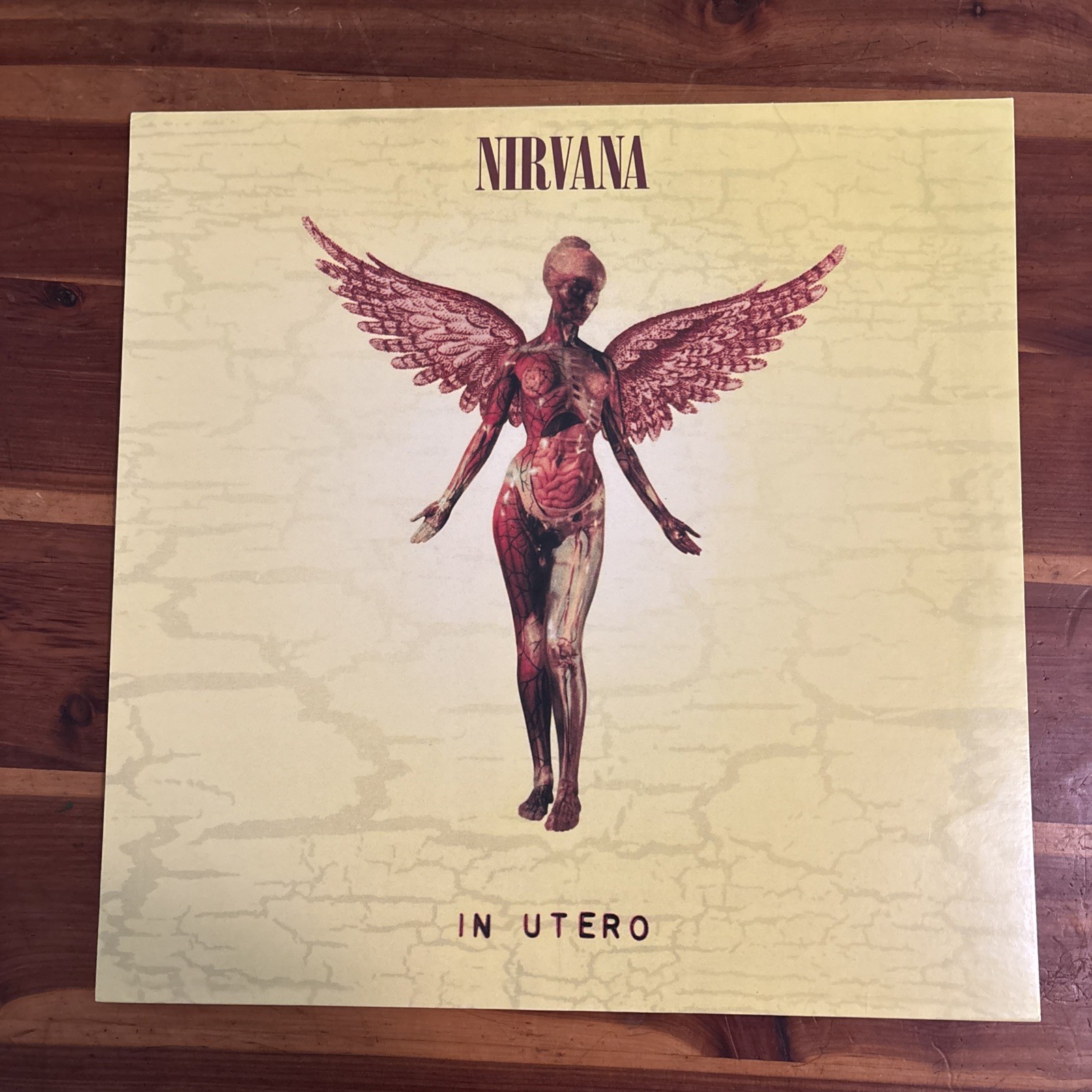 Nirvana IN UTERO vinyl 180g  Black Vinyl LP