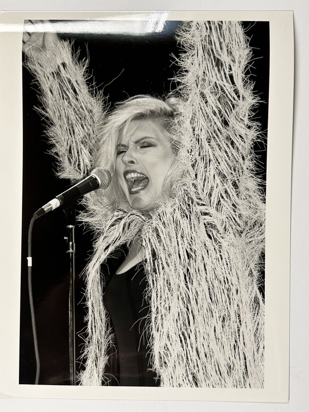Debbie Harry Blondie Photograph Original Stamped Press Promo Circa Early 1980s