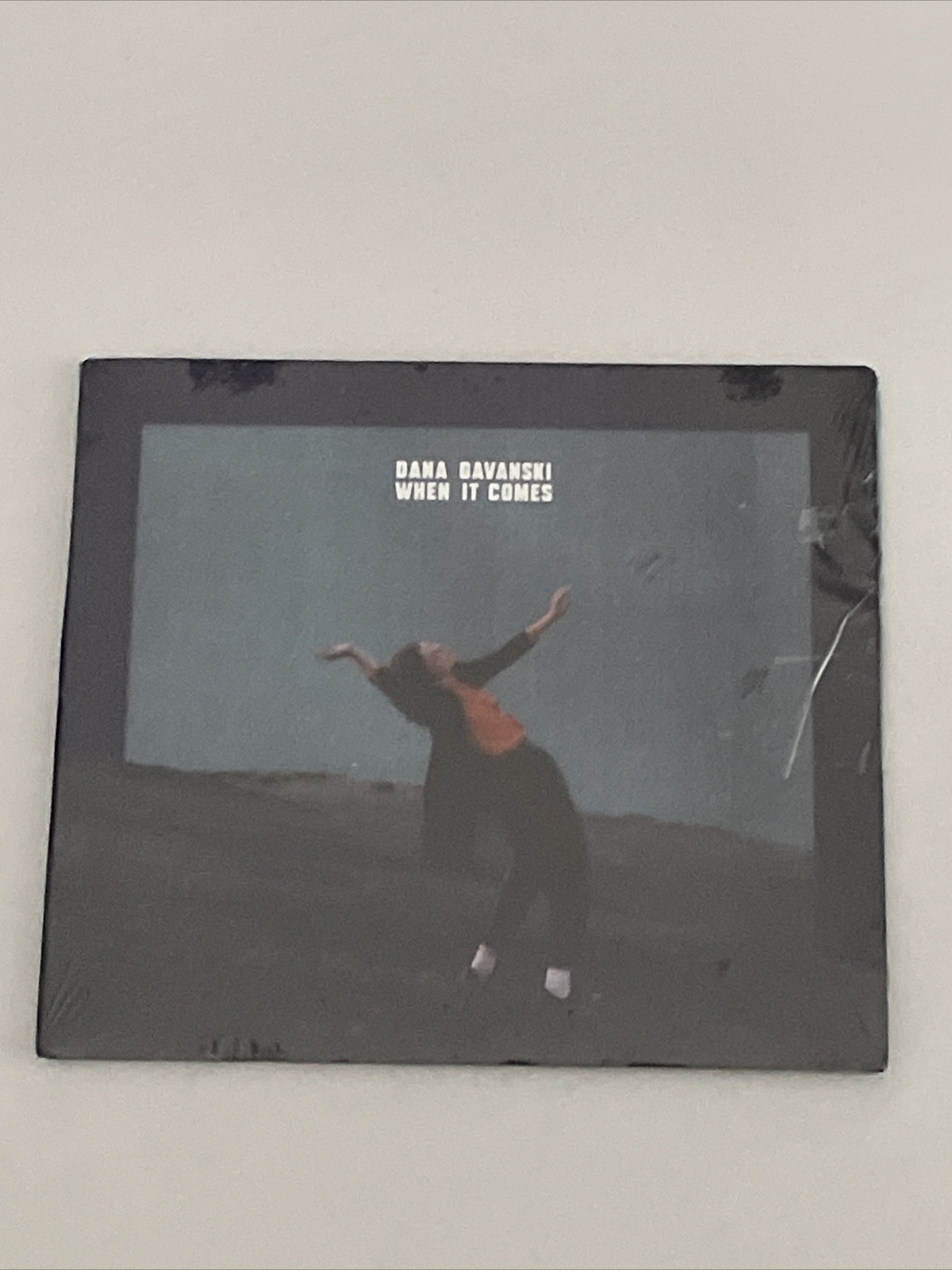 Dana Davanski WHEN IT COMES  NEW Sealed CD 0124b