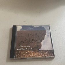 COMMON GROUND - Figment and the Rest CD 1994 Folk Rock Indie Music picture