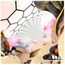 Caural, Remembering Today, Very Good, audioCD picture
