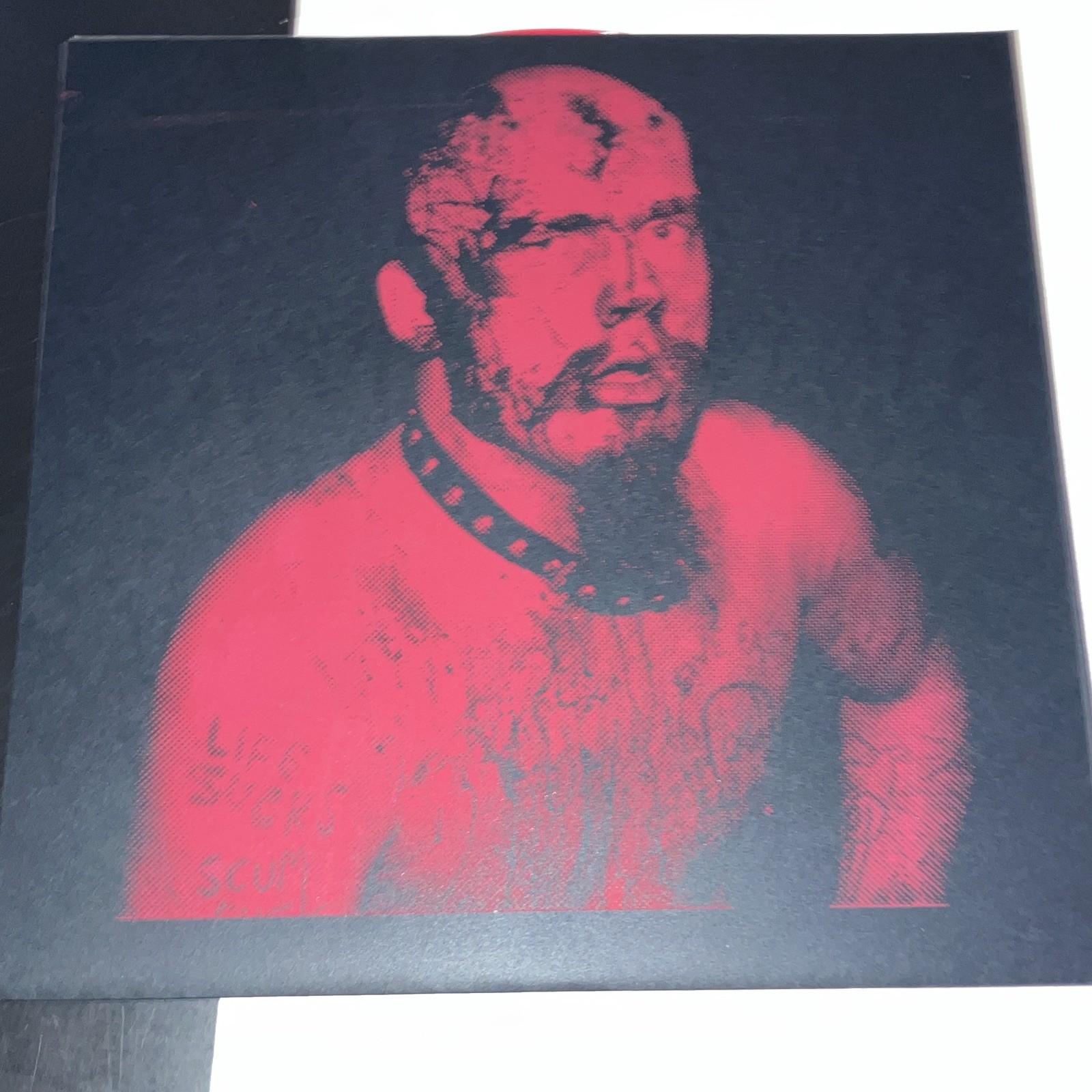 G.G. Allin Antiseen Murder Junkies screen printed cover TKO red vinyl LP limited