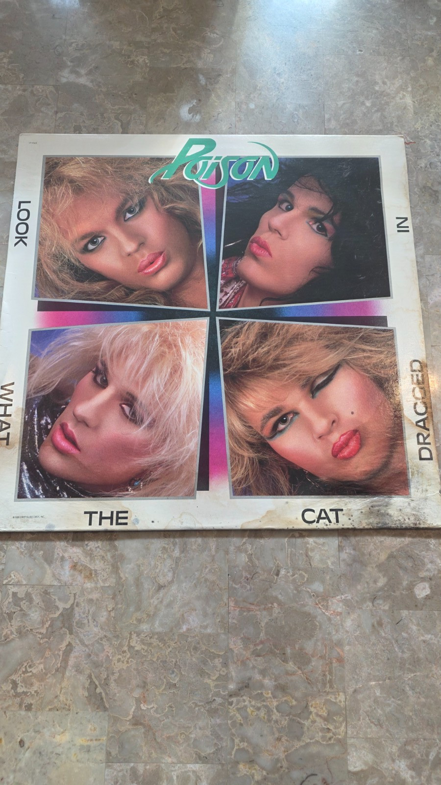 Poison	Look What the Cat Dragged In 1986 Enigma ST-12523	Vinyl LP	FREE SHIPPING