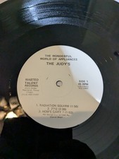 The Judy's Wonderful World of Appliances Punk, Wasted Talent Records picture