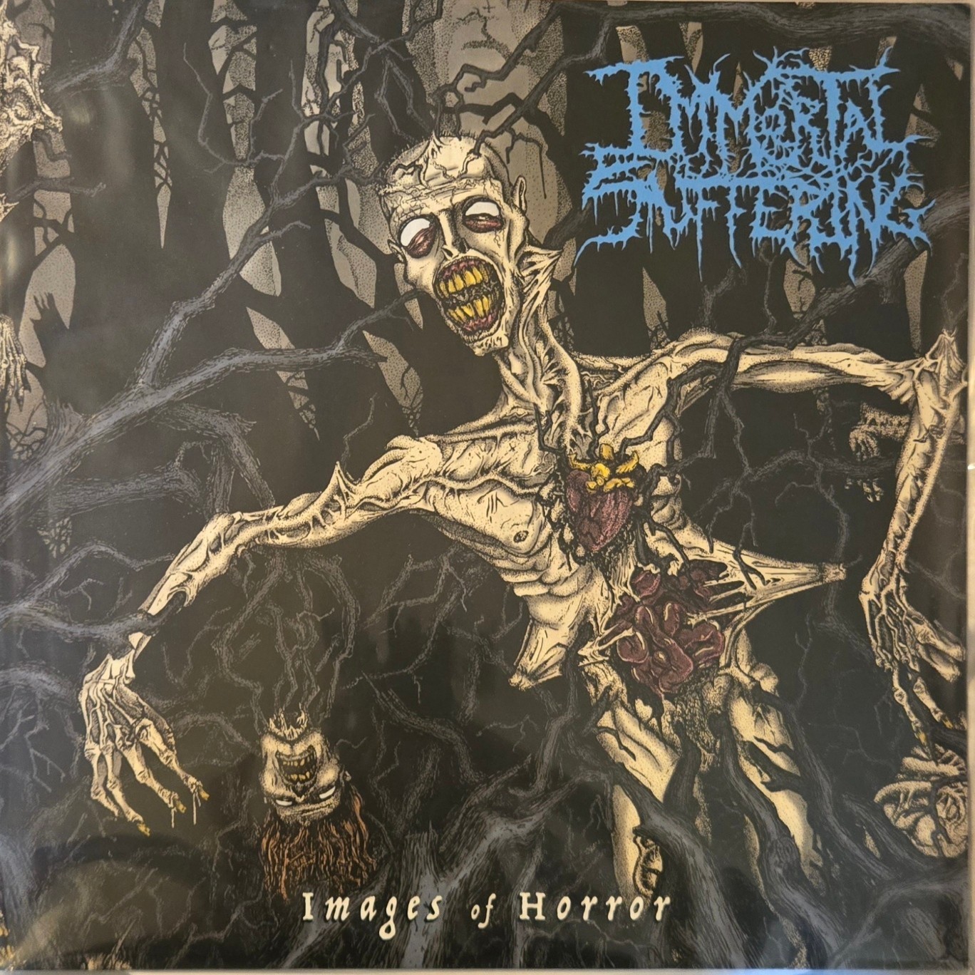 Immortal Suffering - Images Of Horror(LP/2024)SKINLESS OXIDISED RAZOR GUTRICYDE 