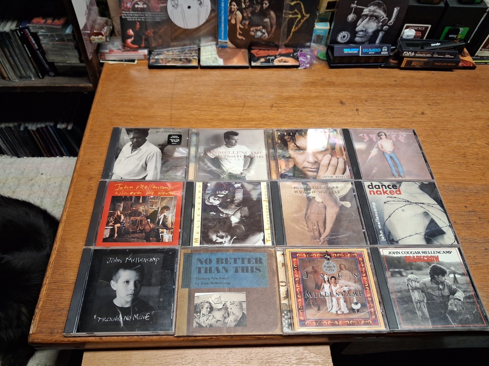 john mellencamp cd lot/12 cuttin heads,best i could be,s/t,uh huh,no better than