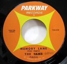 TAMS / HIPPIES 45 Memory Lane / a Lonely Piano PARKWAY VG++ girl group  Bd 153 picture