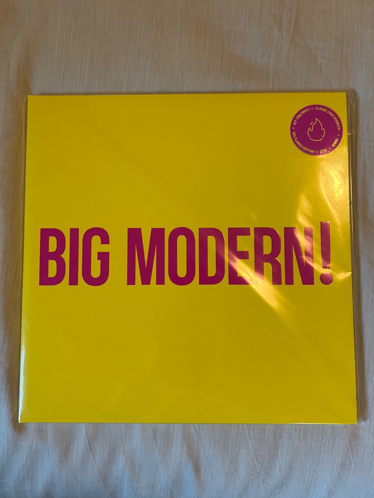 goose the band big modern vinyl, big flames