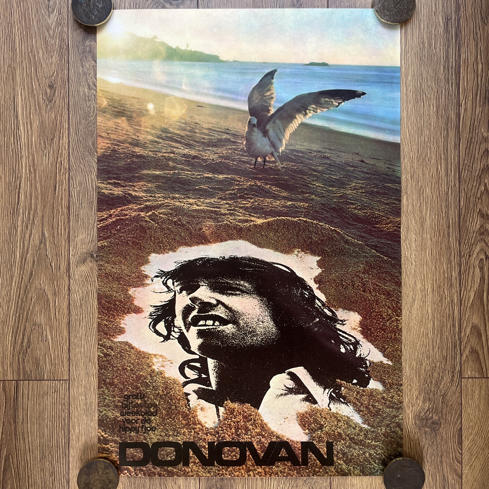 Donovan Music Poster 1970s Era LoeLoe Hippy Magazine Poster Very Rare Original