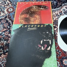 Blackfoot 2 LP Vinyl Lot - Strikes SD 38-112 & Tomcattin SD 32-101 ATCO VG+ picture