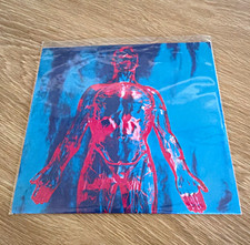 Nirvana Sliver b/w Dive 7