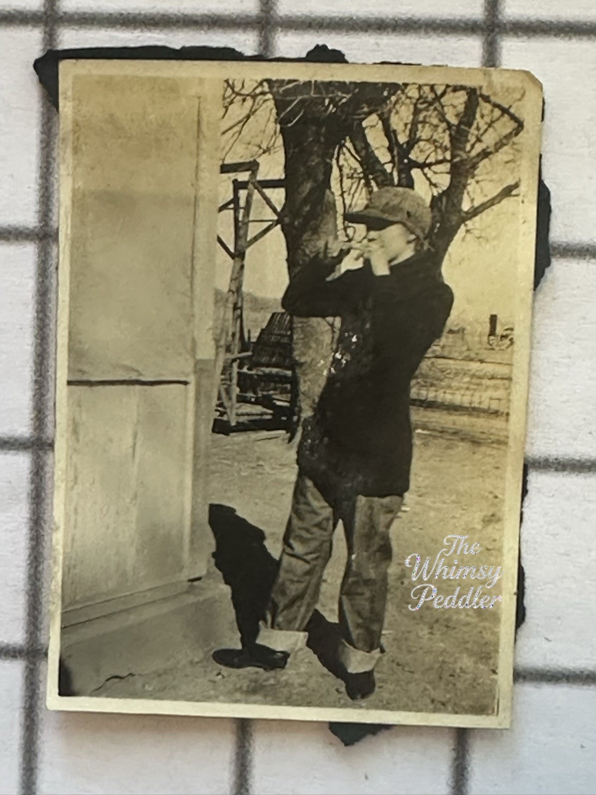 Vintage 1920s Woman Playing Harmonica Trousers Eyeglasses Farm Snapshot