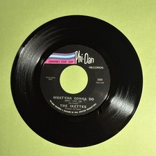 IKETTES, Tina Turner Pedigree, What'Cha Gonna Do / Down Down. Phi-Dan 5009 NM picture
