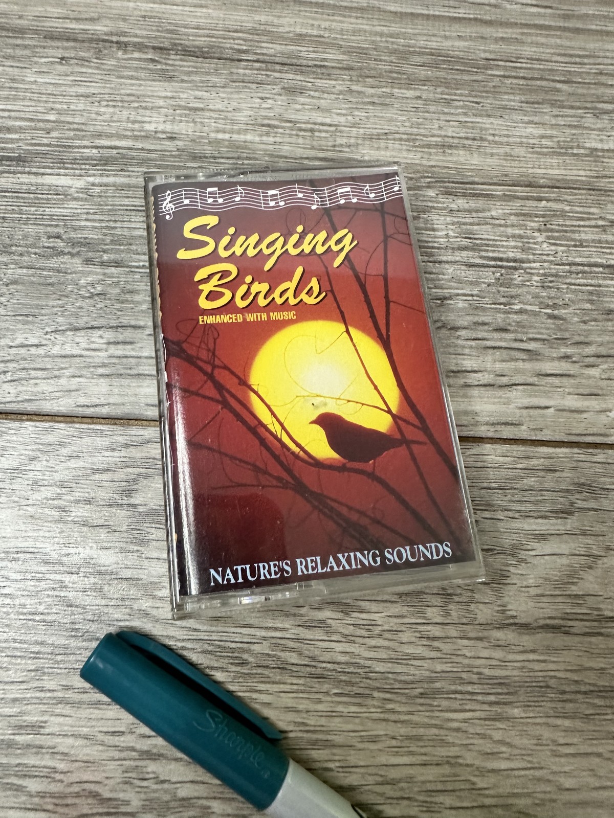 Vintage 1991 Singing Birds Cassette Nature Relaxing Sounds Harp Pan Flute USA