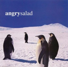 Angry Salad - Angry Salad (CD, Album) (Mint (M)) - 4350898539 picture
