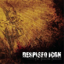 Despised Icon The Healing Process (Vinyl) 12
