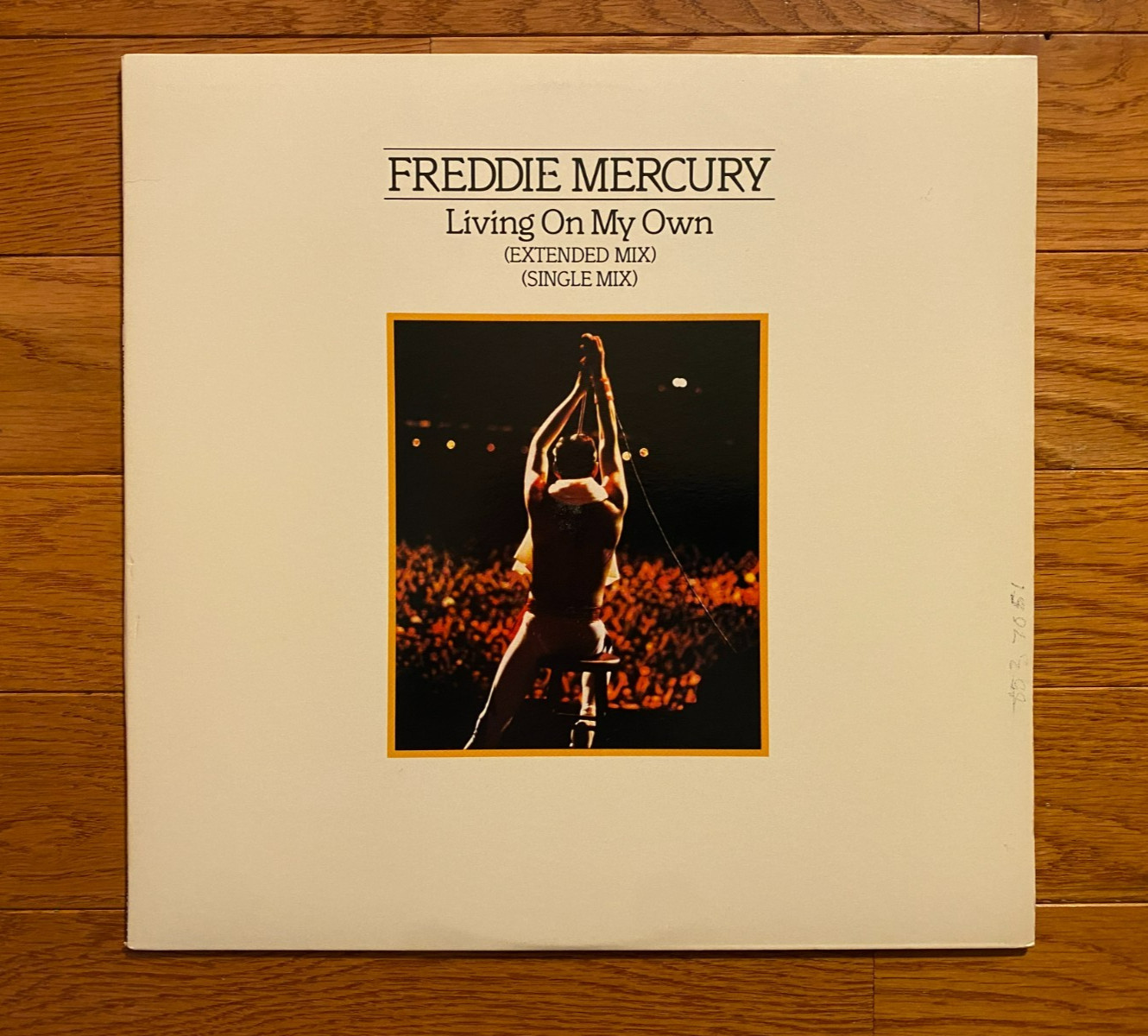 Freddie Mercury - Living On My Own 12