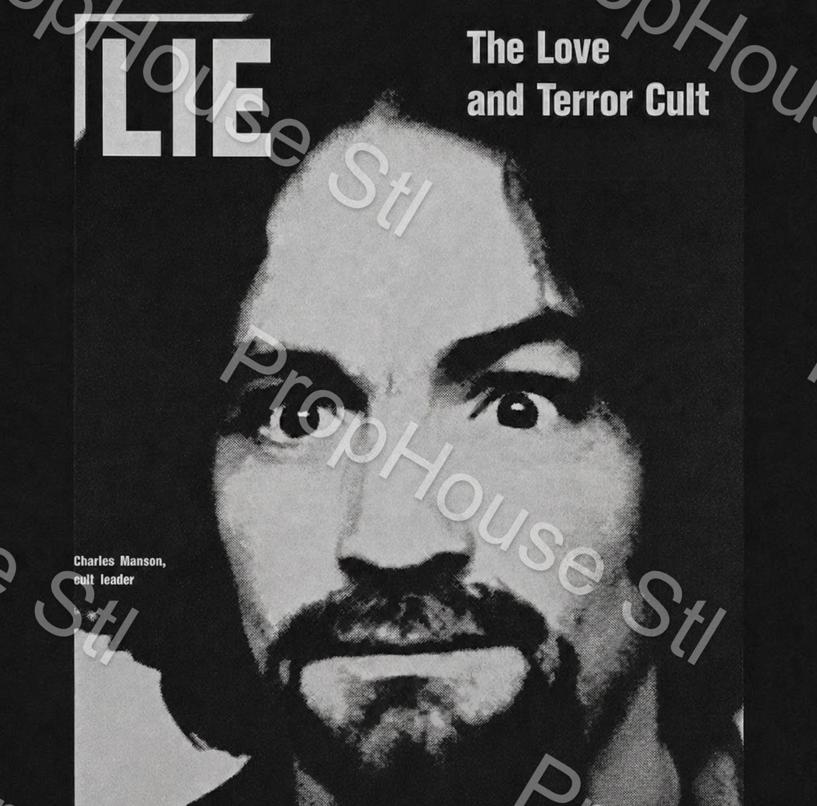 Charles Manson Vinyl- Lie: The Love and Terror Cult Modern LP New/Sealed