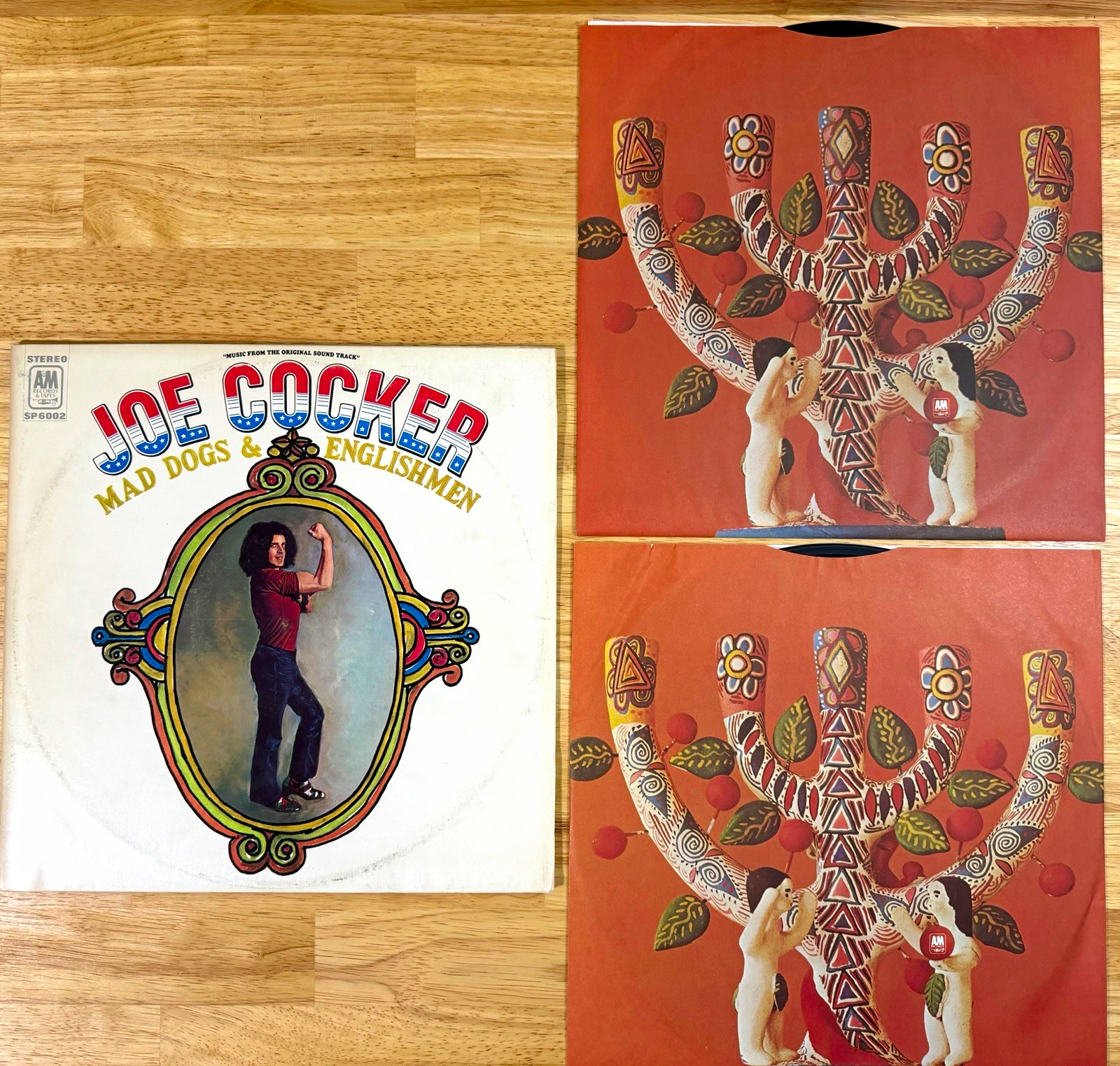 Joe Cocker Mad Dogs & Englishmen 12