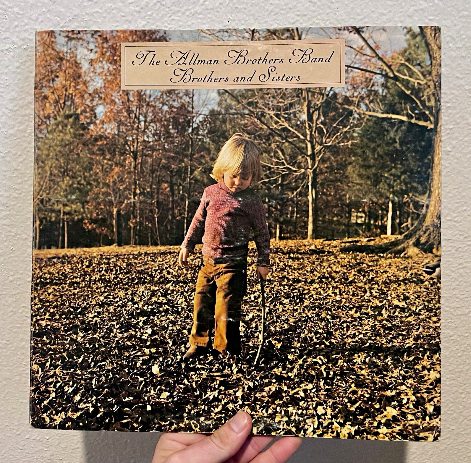 The Allman Brothers: Brothers and Sisters 1973 Original LP Santa Maria TESTED VG